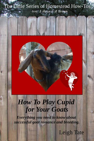 Produktbild: How To Make a Buck Rag & Other Good Things To Know About Breeding Your Goats