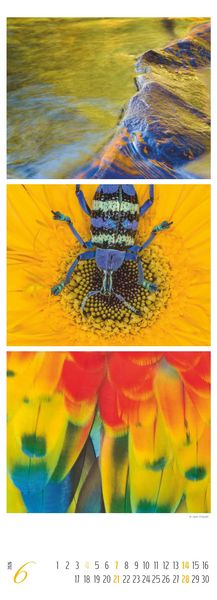 Produktbild: Colours of Nature - Triplets 2026 - Streifenkalender XXL 25x69 cm - Bildkalender im Hochformat - Naturkalender - Wandkalender - Wandplaner