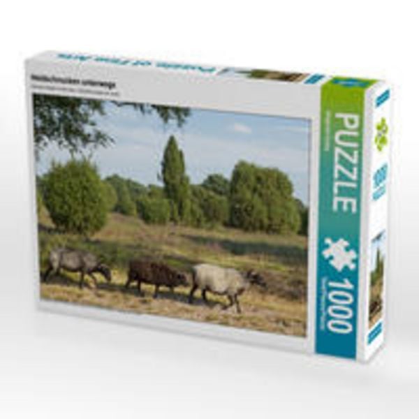 CALVENDO Puzzle Heidschnucken unterwegs | 1000 Teile Lege-Größe 64x48cm Foto-Puzzle für glückliche Stunden