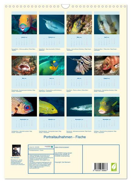 Produktbild: Portraitaufnahmen - Fische (Wandkalender 2026 DIN A3 hoch), CALVENDO Monatskalender