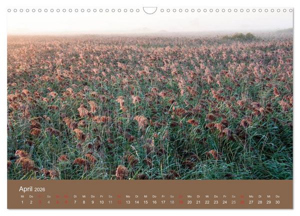 Produktbild: Der Federsee - Vogelparadies in Oberschwaben (Wandkalender 2026 DIN A3 quer), CALVENDO Monatskalender