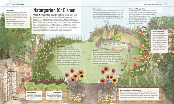 Produktbild: Das Bienen Buch