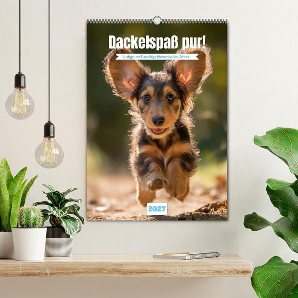 Produktbild: Dackelspa&szlig; pur! (Wandkalender 2027 DIN A2 hoch), CALVENDO Monatskalender