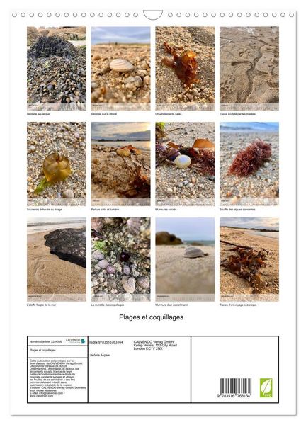 Produktbild: Plages et coquillages (Calendrier mural 2027 DIN A3 horizontal), CALVENDO calendrier mensuel