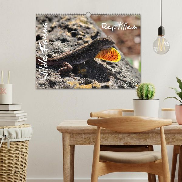 Produktbild: Wilde Fauna - Reptilien (Wandkalender 2026 DIN A3 quer), CALVENDO Monatskalender
