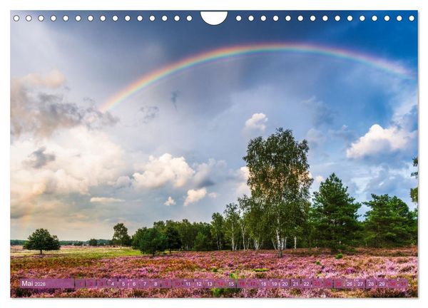 Produktbild: Romantische Heidebl&uuml;te (Wandkalender 2026 DIN A4 quer), CALVENDO Monatskalender