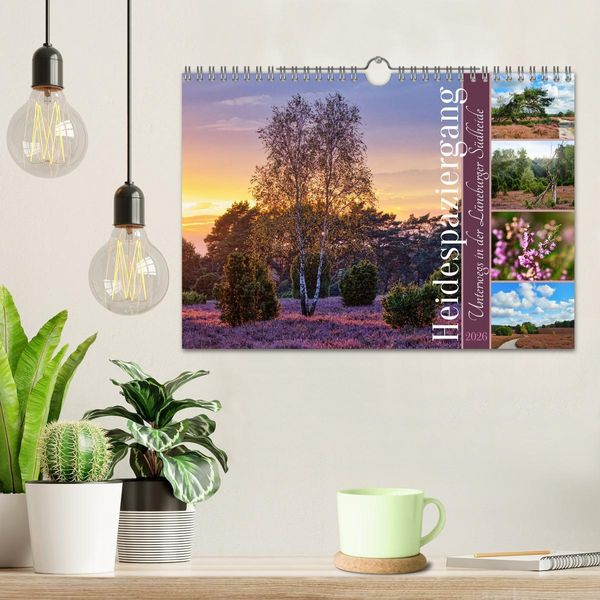 Produktbild: Heidespaziergang (Wandkalender 2026 DIN A4 quer), CALVENDO Monatskalender