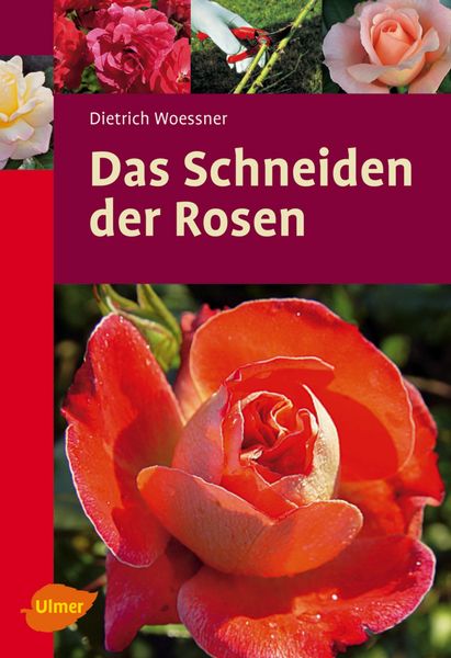 Produktbild: Das Schneiden der Rosen