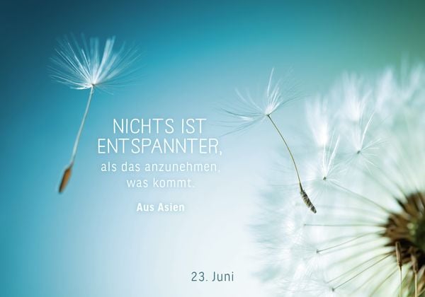 Produktbild: 365 Gl&uuml;cksmomente