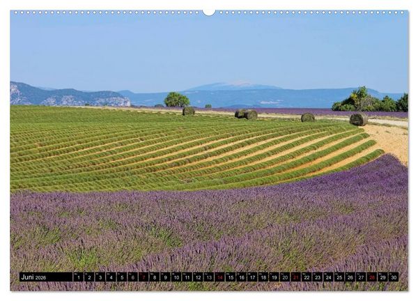 Produktbild: Lavendel (hochwertiger Premium Wandkalender 2026 DIN A2 quer), Kunstdruck in Hochglanz
