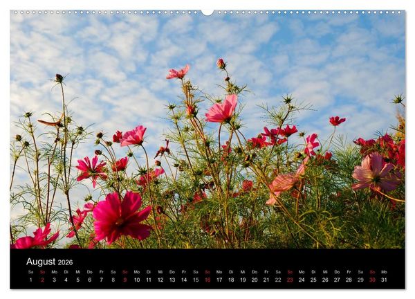 Produktbild: Die vier Jahreszeiten (hochwertiger Premium Wandkalender 2026 DIN A2 quer), Kunstdruck in Hochglanz