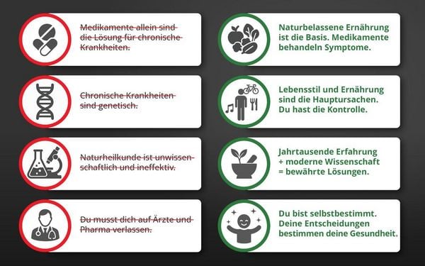 Produktbild: Die Krankheitslügen - Was man macht, um nicht krank zu werden.