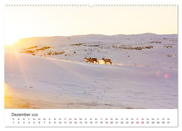 Produktbild: Zwischen den Eisbergen in Gr&ouml;nland (Wandkalender 2026 DIN A2 quer), CALVENDO Monatskalender