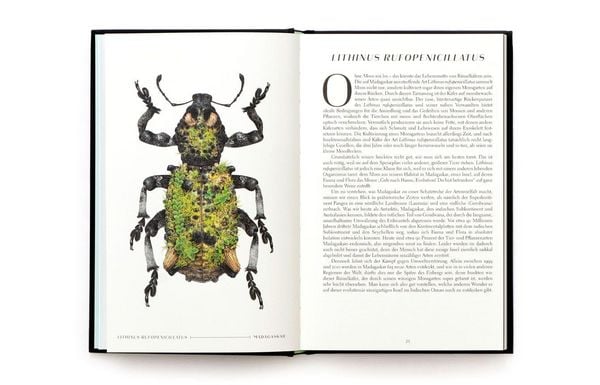 Produktbild: Wunderwelt der Insekten