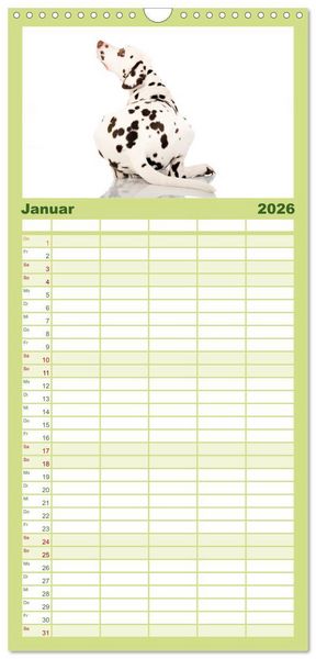 Produktbild: Familienplaner 2026 - Dalmatiner mit 5 Spalten (Wandkalender, 21 x 45 cm) CALVENDO