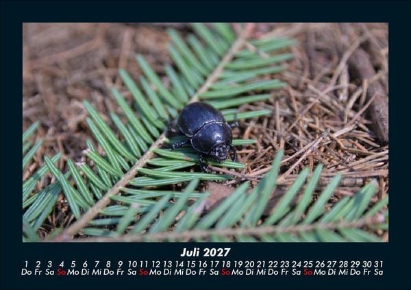 Produktbild: Waldbewohner 2027 Fotokalender DIN A5