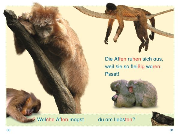 Produktbild: SUPERLESER! Zu Besuch bei den Affen