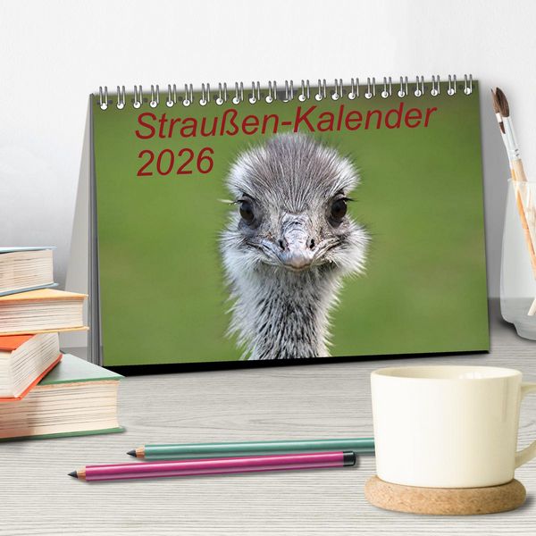 Produktbild: Strau&szlig;en-Kalender 2026 (Tischkalender 2026 DIN A5 quer), CALVENDO Monatskalender