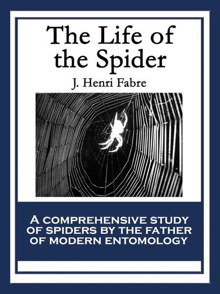 Produktbild: The Life of the Spider