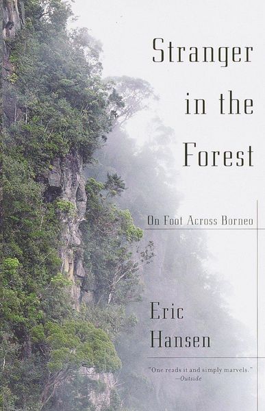 Produktbild: Stranger in the Forest