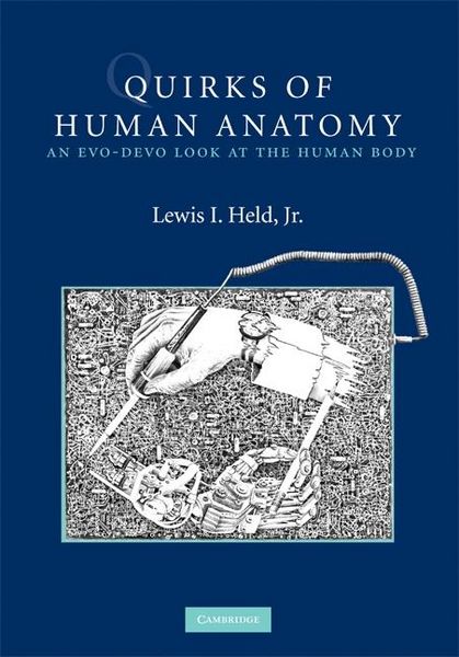 Produktbild: Quirks of Human Anatomy
