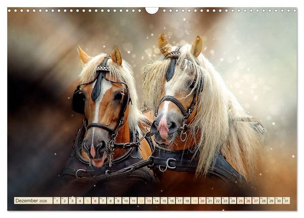 Produktbild: Eleganz und Sch&ouml;nheit - Pferde (Wandkalender 2026 DIN A3 quer), CALVENDO Monatskalender