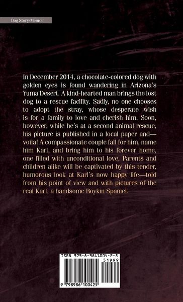 Produktbild: Karl's Diary