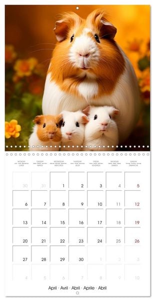 Produktbild: Sweet GUINEA PIGS (Wall Calendar 2026 12 &times; 12 Inch) CALVENDO 12 Month Wall Calendar