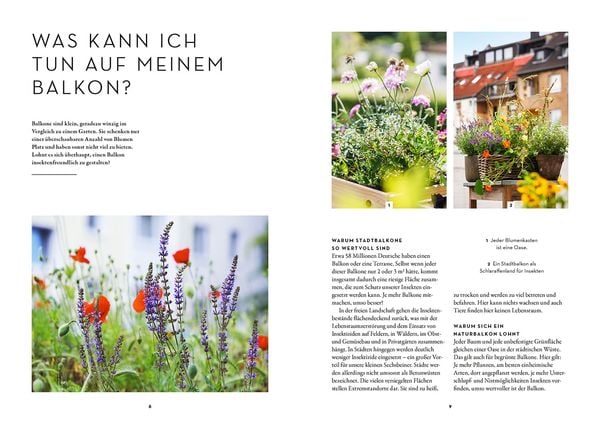Produktbild: Dein Balkon summt!