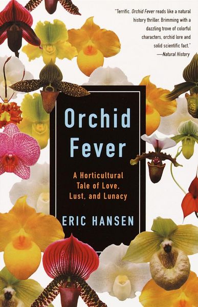 Produktbild: Orchid Fever