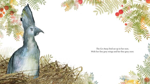Produktbild: The Go-Away Bird
