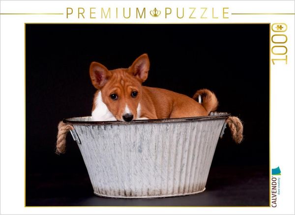 CALVENDO Puzzle Ein Motiv aus dem Kalender Süße Basenji-Kinder | 1000 Teile Lege-Größe 64 × 48 cm Foto-Puzzle für glückliche Stunden