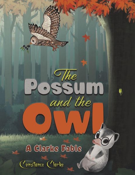 Produktbild: The Possum and the Owl
