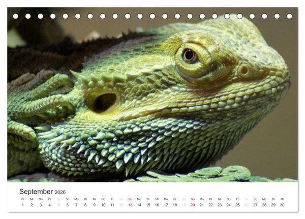 Produktbild: Das Leben der Reptilien (Tischkalender 2026 DIN A5 quer), CALVENDO Monatskalender