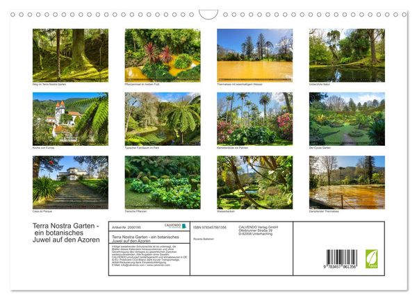 Produktbild: Terra Nostra Garten - ein botanisches Juwel auf den Azoren (Wandkalender 2026 DIN A3 quer), CALVENDO Monatskalender