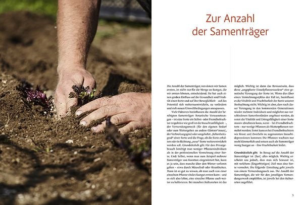 Produktbild: Handbuch Sameng&auml;rtnerei