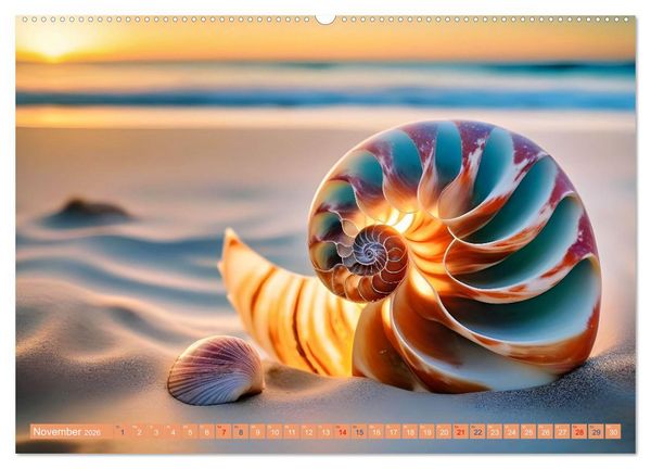 Produktbild: Faszination Muscheln (Wandkalender 2026 DIN A2 quer), CALVENDO Monatskalender