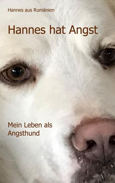 Produktbild: Hannes hat Angst