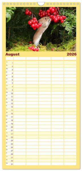 Produktbild: Familienplaner 2026 - Die R&ouml;telmaus - neugierig und verfressen mit 5 Spalten (Wandkalender, 21 x 45 cm) CALVENDO