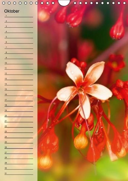 Produktbild: Immerw&auml;hrender Geburtstagskalender - Bl&uuml;tentr&auml;ume (Wandkalender immerw&auml;hrend DIN A4 hoch)