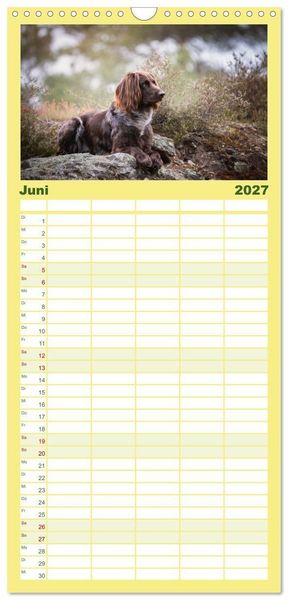 Produktbild: Familienplaner 2027 - Passion Jagdhund - Deutsch Langhaar mit 5 Spalten (Wandkalender, 21 x 45 cm) CALVENDO