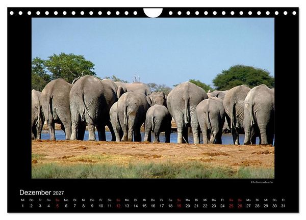 Produktbild: Wildtiere im Etosha Nationalpark (Wandkalender 2027 DIN A4 quer), CALVENDO Monatskalender