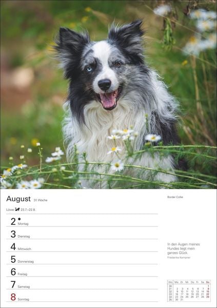 Produktbild: Hunde Wochenplaner 2027 - 53 faszinierende Fotografien