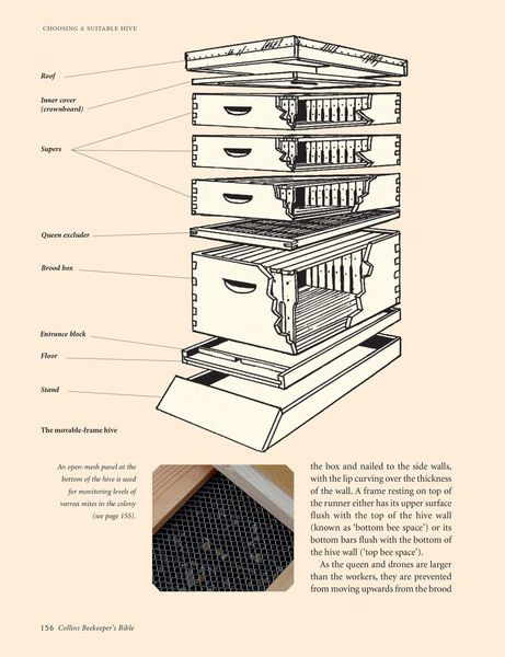 Produktbild: Collins Beekeeper's Bible