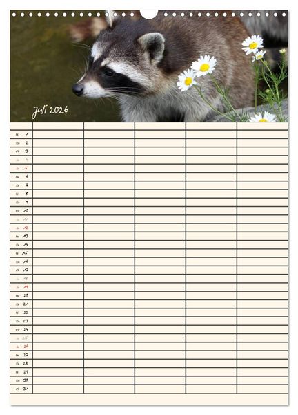 Produktbild: Waschb&auml;ren Familienplaner (Wandkalender 2026 DIN A3 hoch), CALVENDO Monatskalender