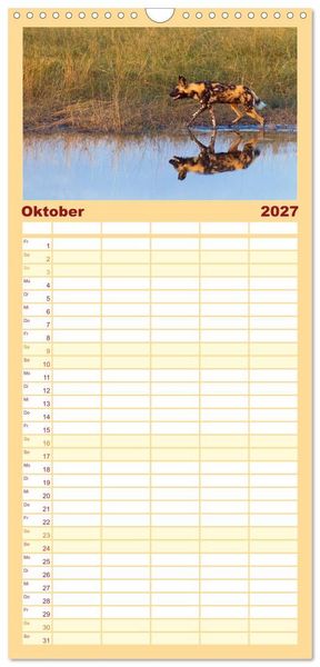 Produktbild: Familienplaner 2027 - Afrika Wildlife-Fotografien mit 5 Spalten (Wandkalender, 21 x 45 cm) CALVENDO