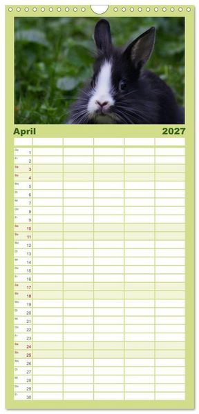 Produktbild: Familienplaner 2027 - Liebenswerte Zwergkaninchen mit 5 Spalten (Wandkalender, 21 x 45 cm) CALVENDO
