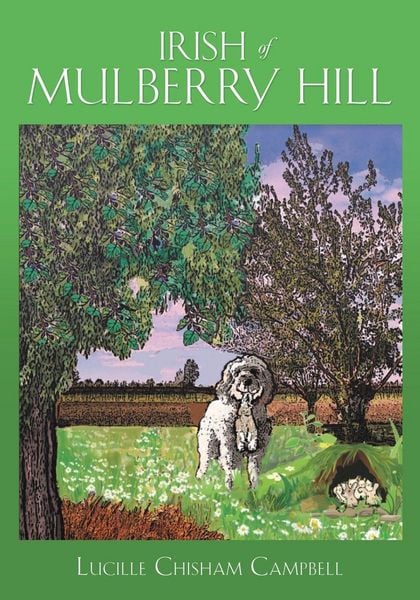 Produktbild: Irish of Mulberry Hill