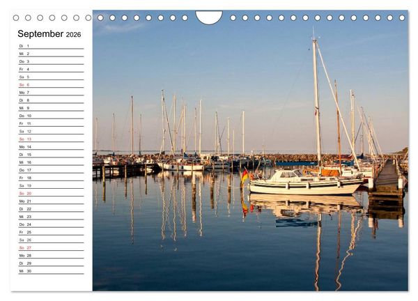 Produktbild: Insel &AElig;r&oslash; - Perle der D&auml;nischen S&uuml;dsee (Wandkalender 2026 DIN A4 quer), CALVENDO Monatskalender