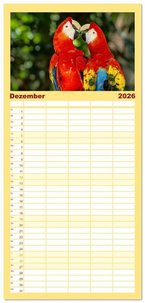 Produktbild: Familienplaner 2026 - Tropische V&ouml;gel Costa Ricas mit 5 Spalten (Wandkalender, 21 x 45 cm) CALVENDO
